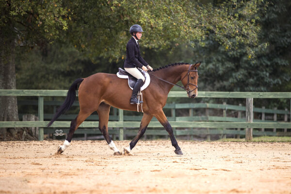 AA0I0455©StunningSteedsPhoto-LowRes