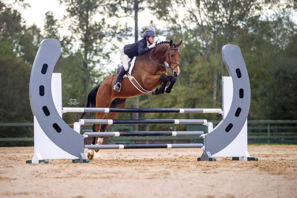 AA0I0661©StunningSteedsPhoto-LowRes