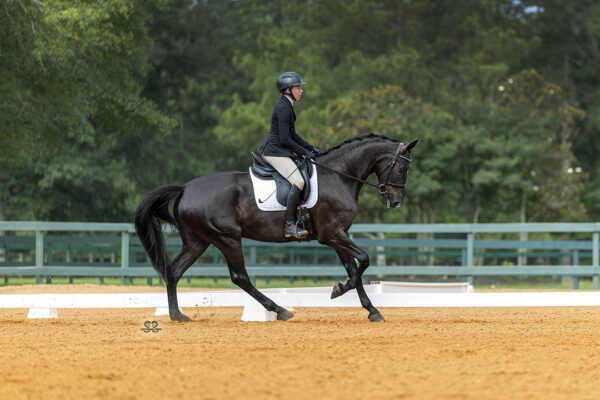 _K6A4030©StunningSteedsPhotoLOWRES