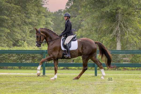 _K6A9765©StunningSteedsPhoto-LOWRES