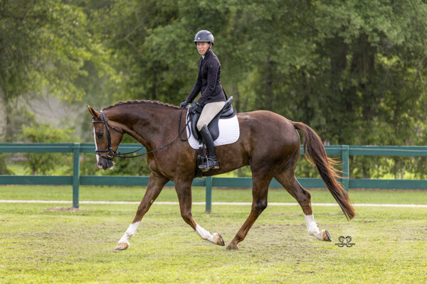 _K6A9798©StunningSteedsPhoto-LOWRES