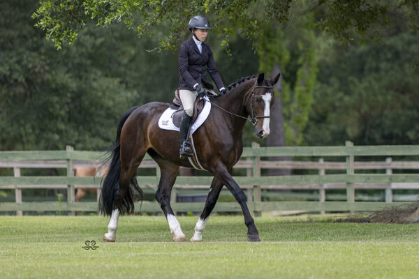 _K6A6651©StunningSteedsPhoto-LOWRES